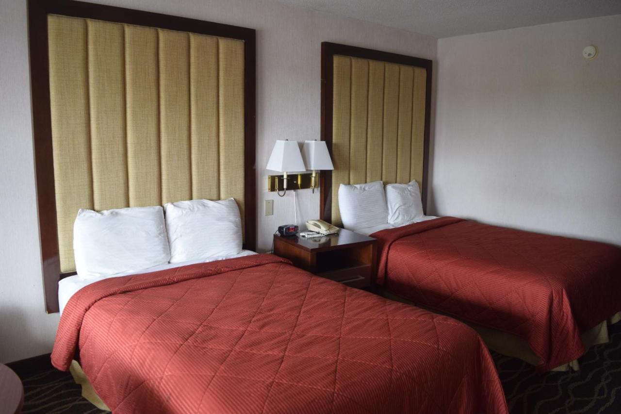 Double Room with Two Double Beds - Pet-Friendly
