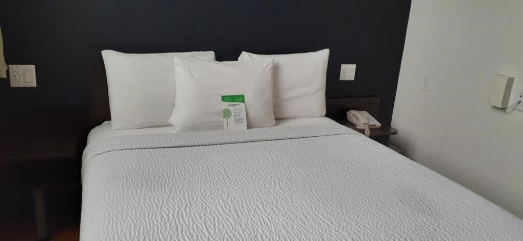 King Room,1356948488:JPEG