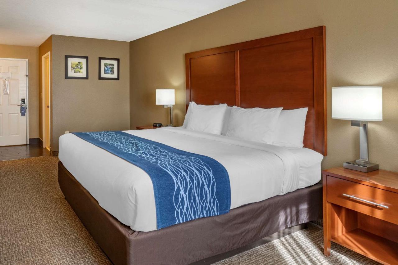 Superior King Room - Non-Smoking