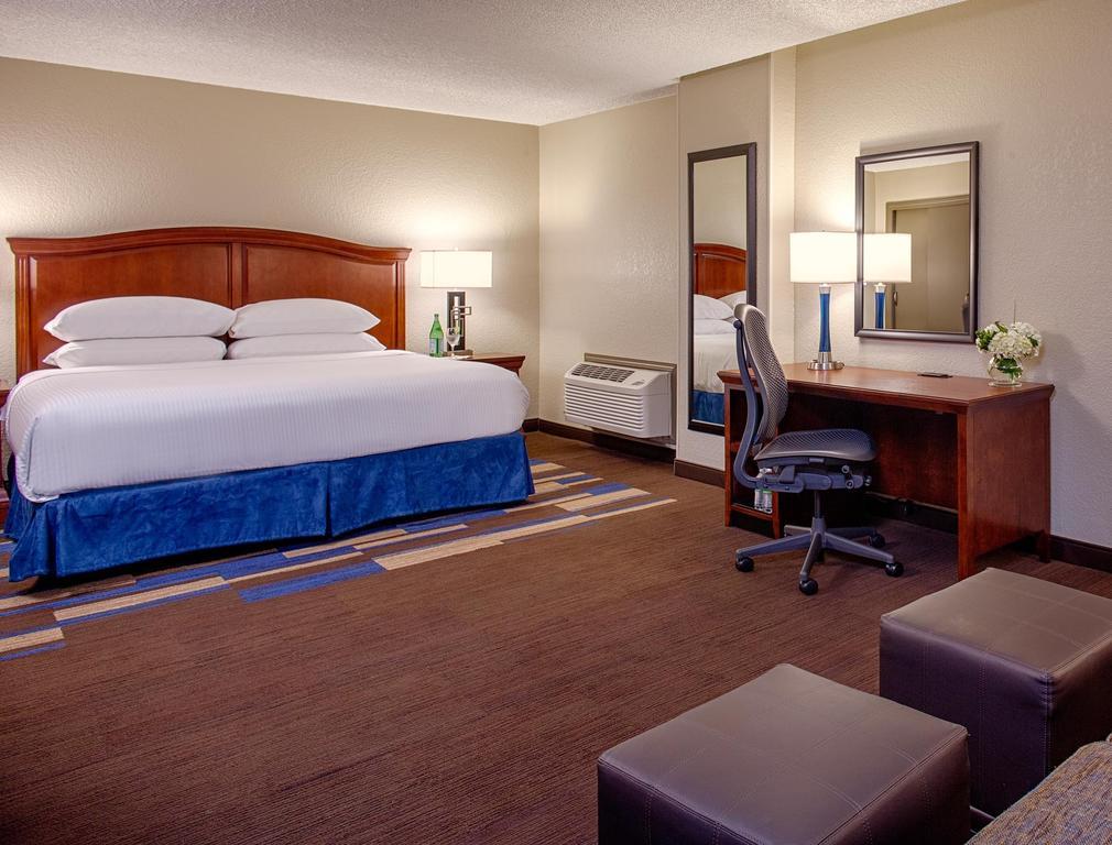 Superior King Room,913788535:JPEG