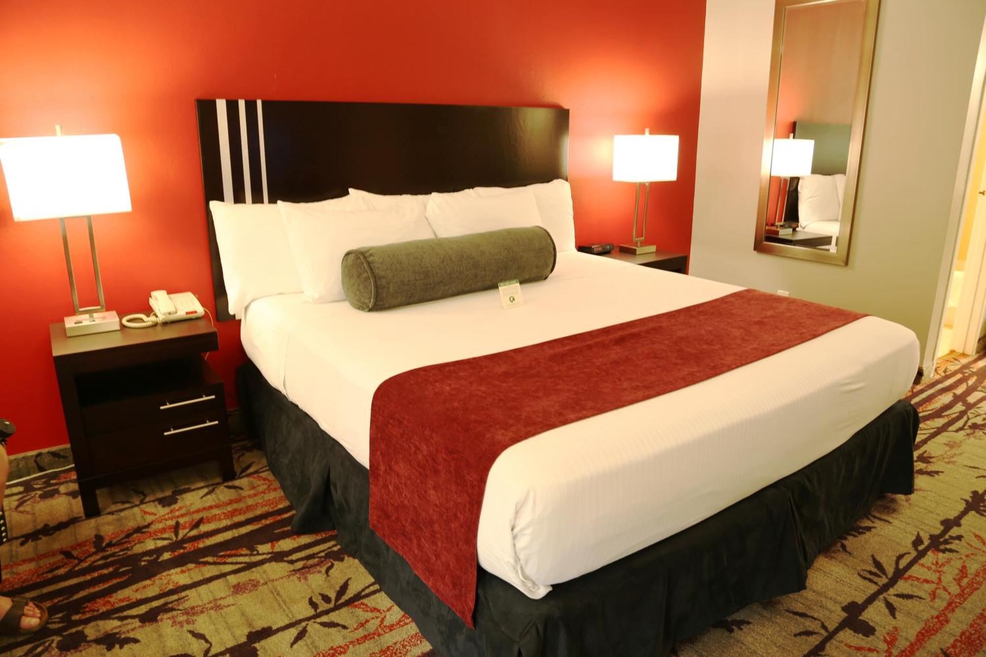 Deluxe Single Room 1 King Bed Non-smoking Garden View,64011034:JPEG