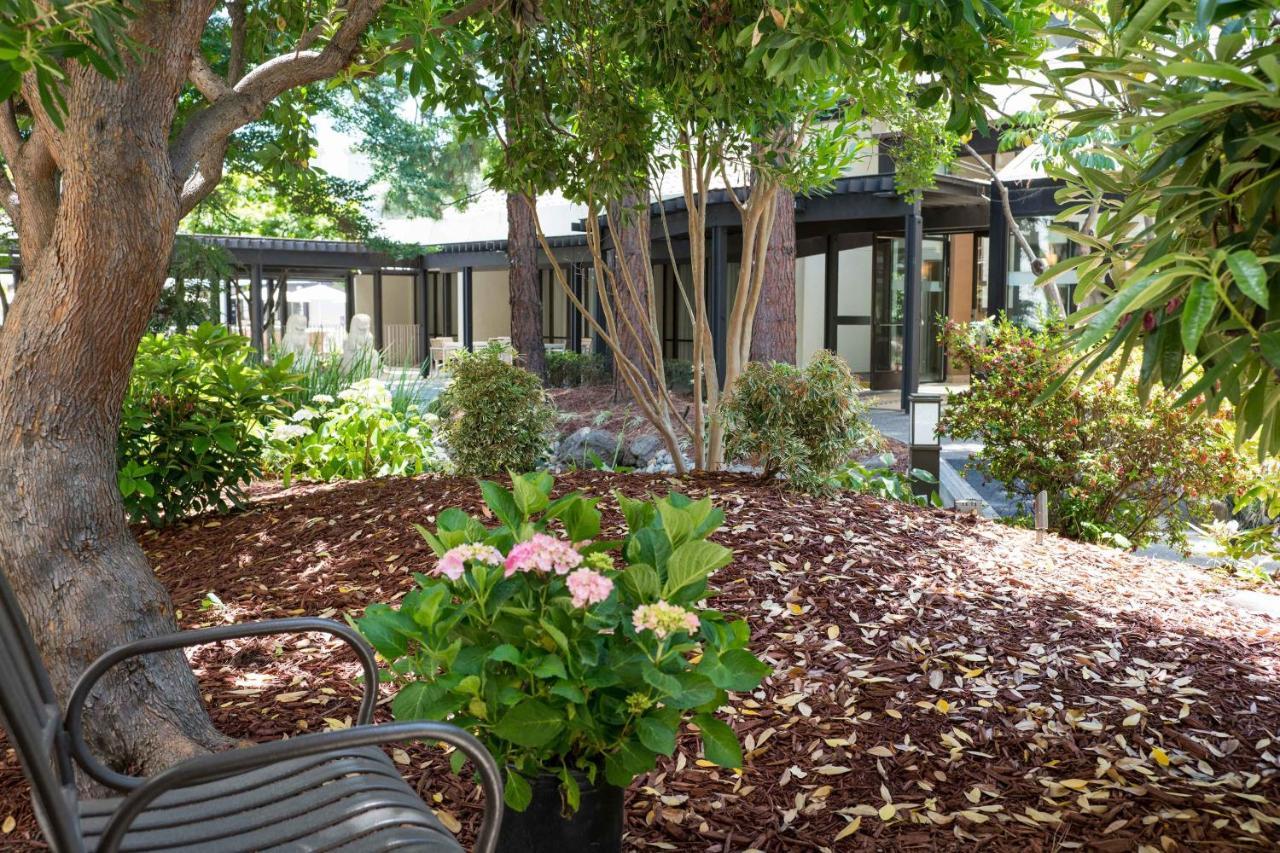 Deluxe, Guest room, 2 Double
