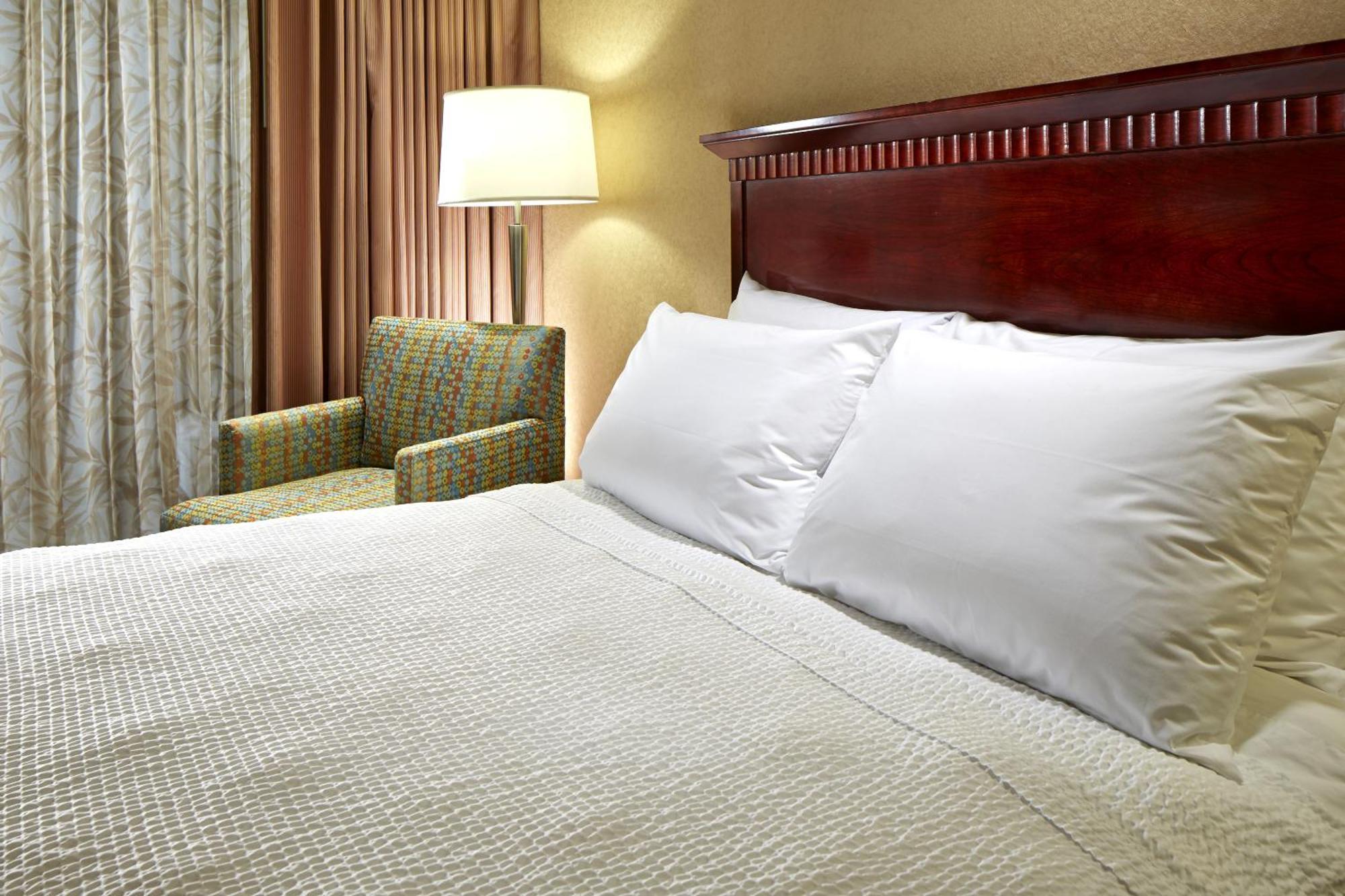 Suite con cama extragrande