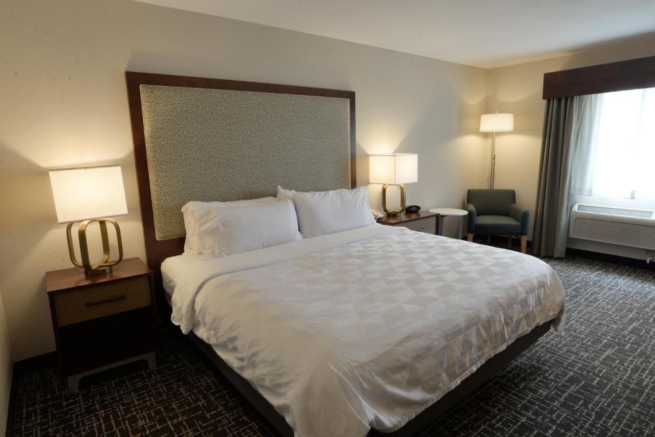 Habitación Estándar con ducha accesible en silla de ruedas - cama extragrande - Adaptada para personas con movilidad reducida