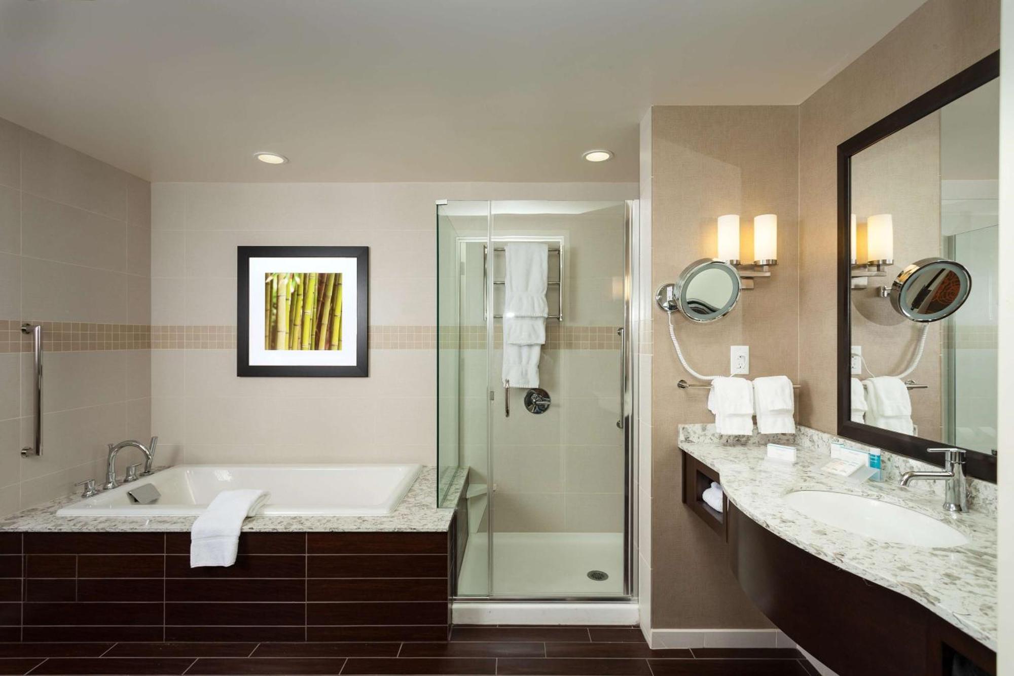 One-Bedroom King Suite
