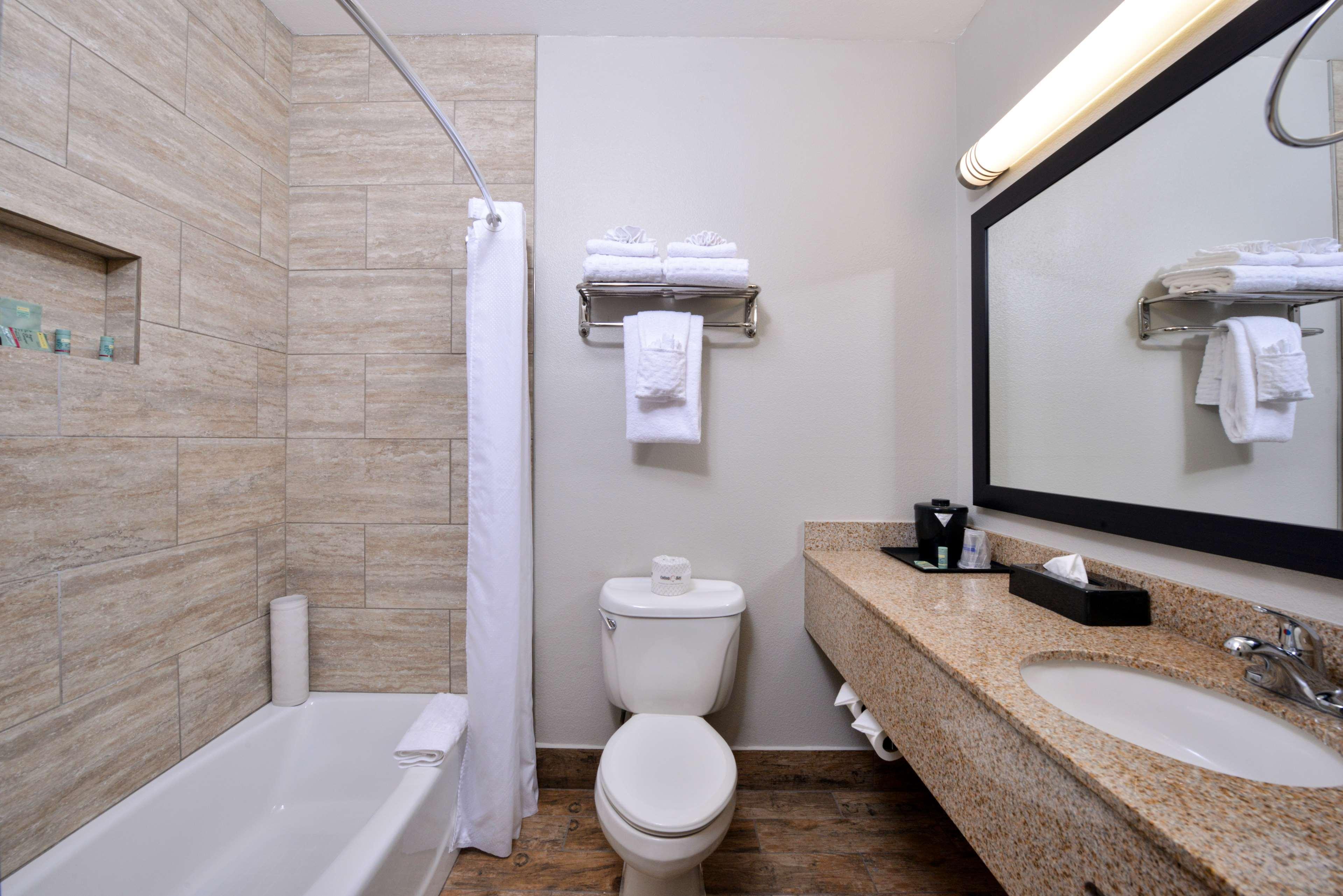King Room - Pet Friendly/Non-Smoking