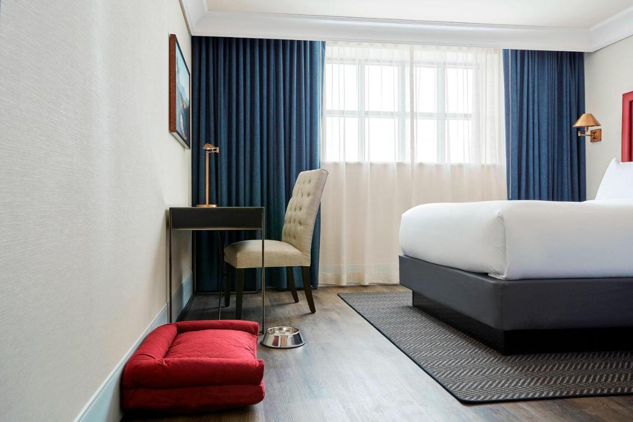 King Room with Sofa Bed