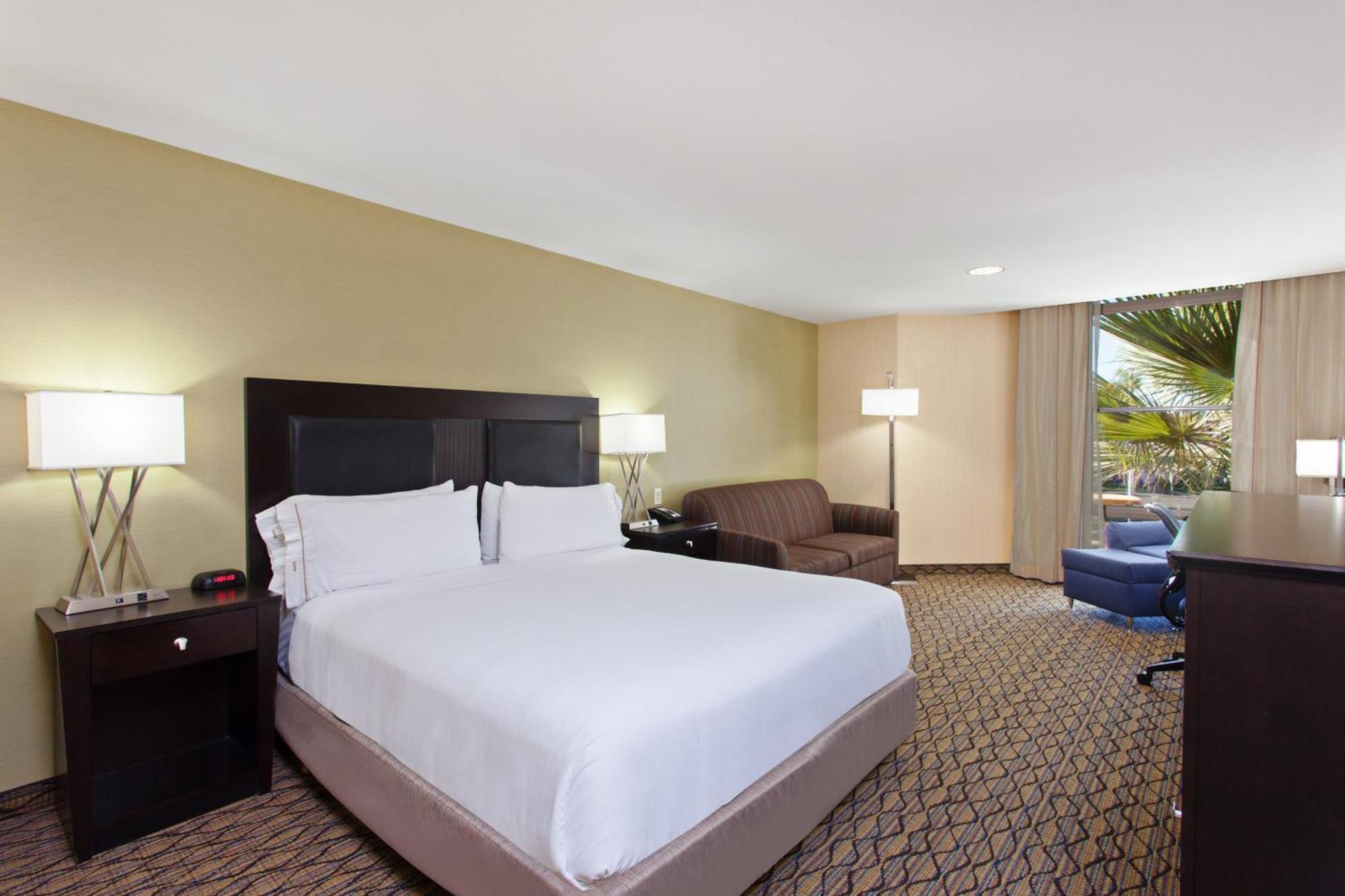 King Suite - Communications and Mobility Accessible Tub