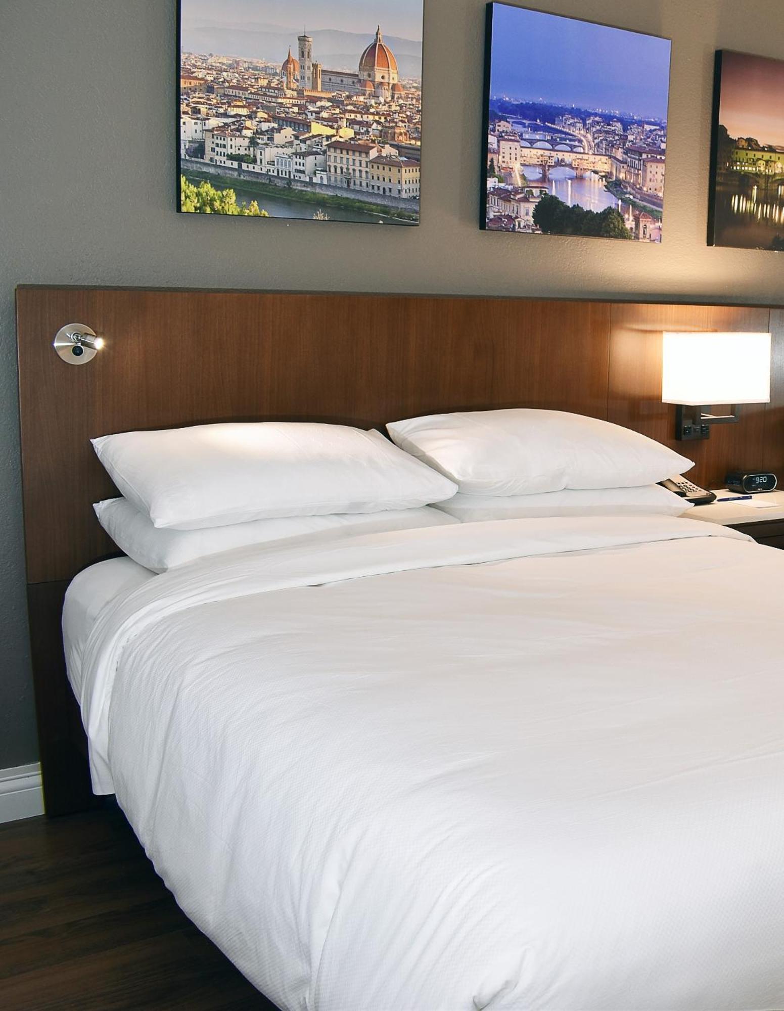 Queen Room Queen Bed Transfer Shower Mobility Hearing Accessible,1536701542:JPEG