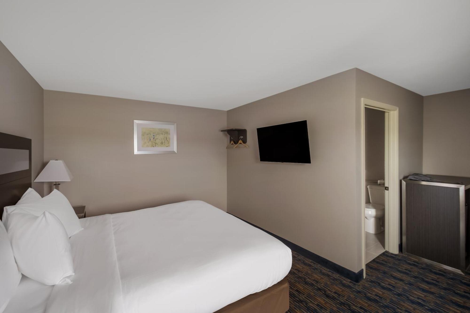 Habitación con 1 cama extragrande adaptada para personas con movilidad reducida - No fumadores