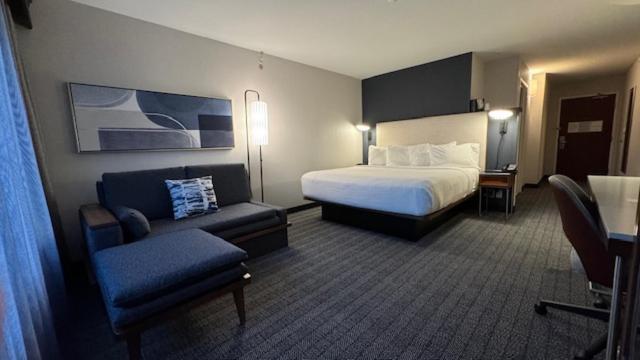 King Room,1565151613:JPEG