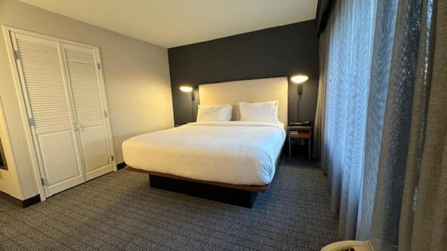 King Suite Sofa Bed,1565151625:JPEG