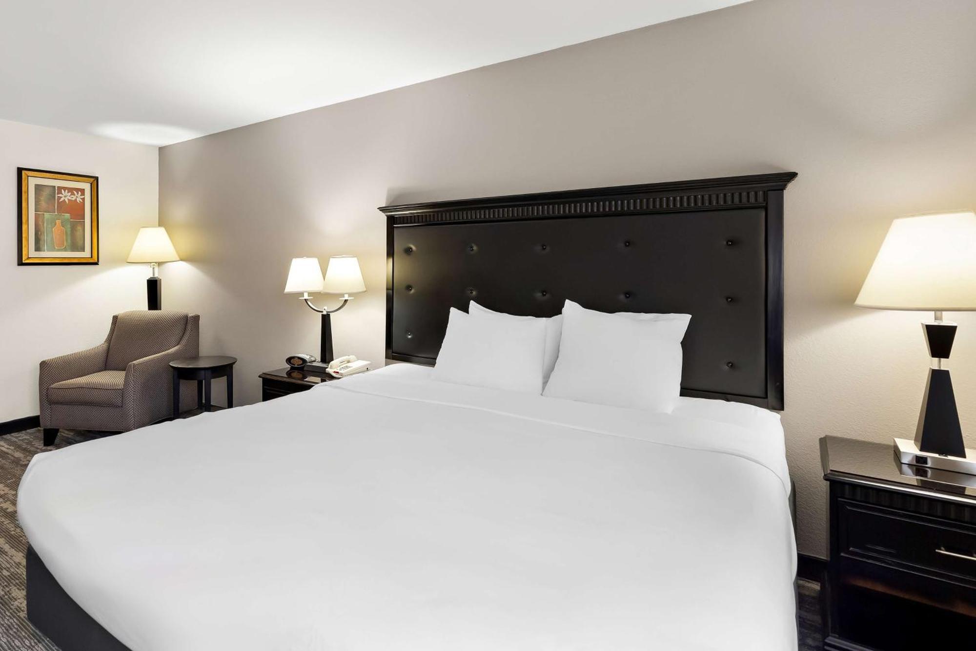 King Room - Pet Friendly/Non-Smoking