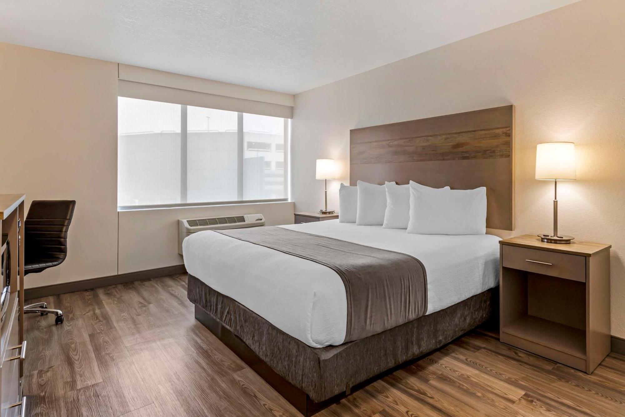 King Room