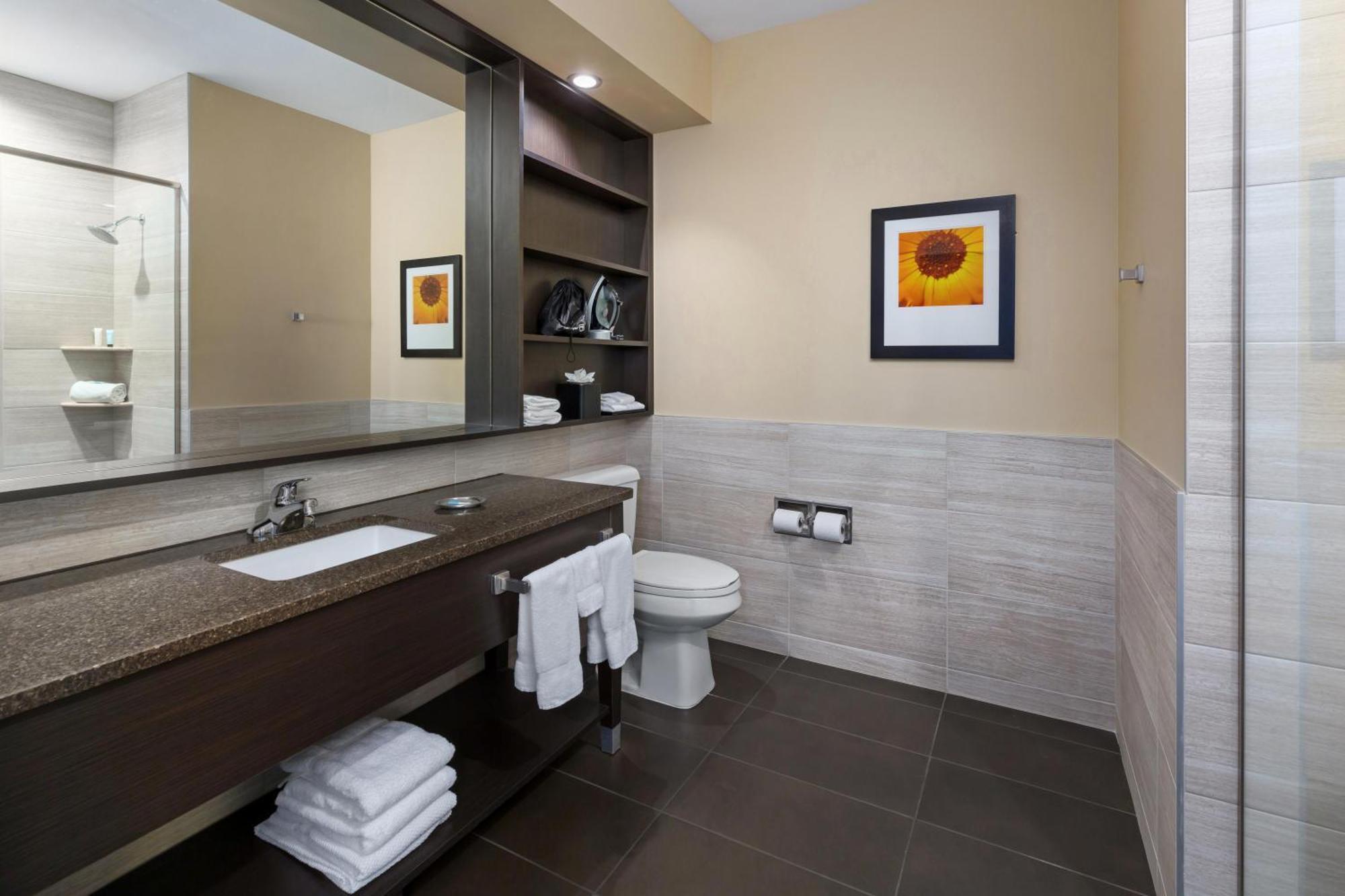 Queen Bed Accessible Guestroom