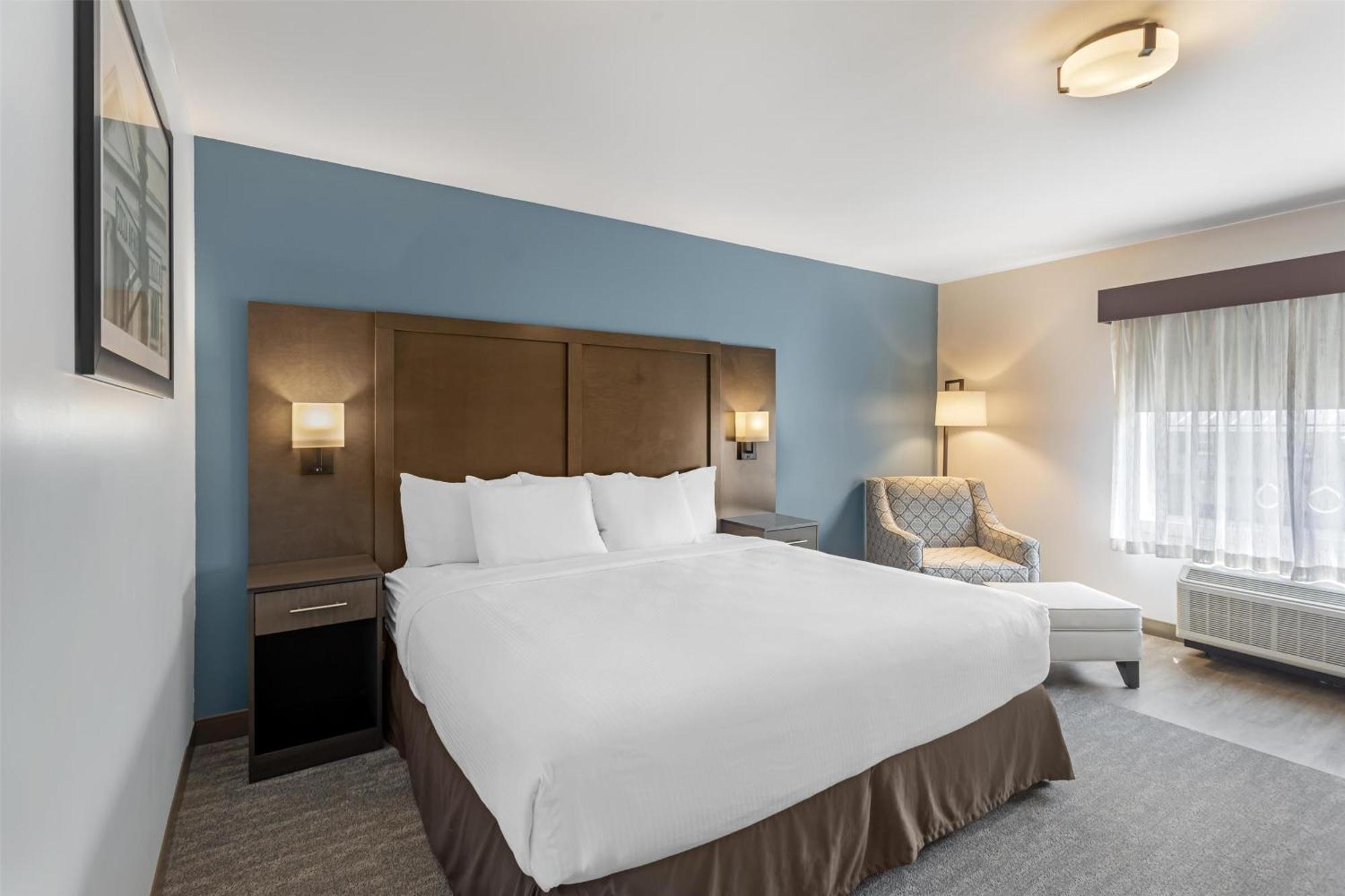King Room Mobility Accessible Roll Shower