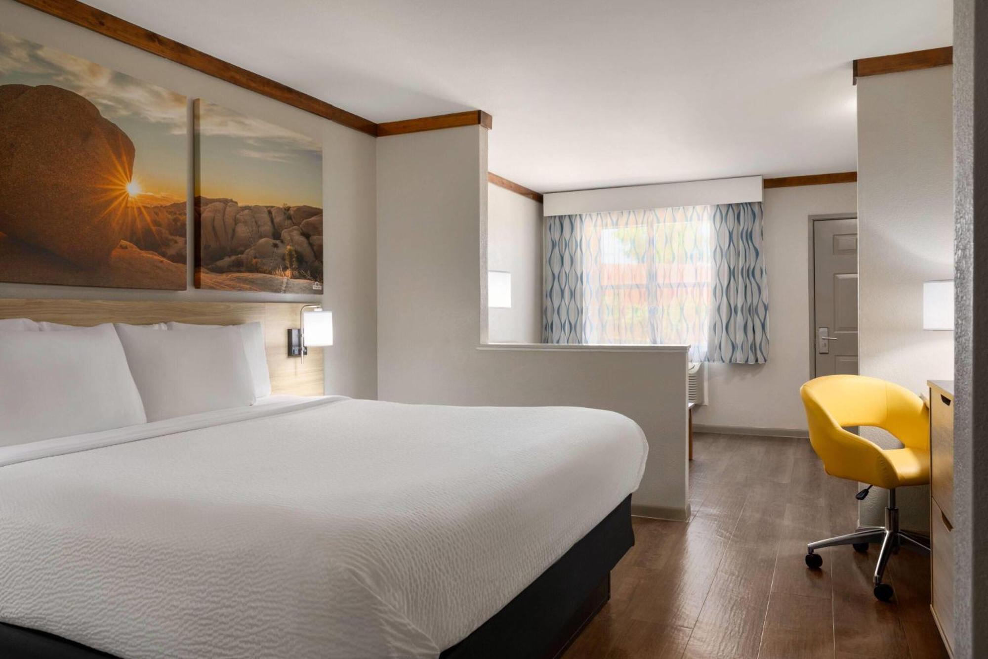 1 King Bed, Mobility Accessible Suite, Roll-In Shower, Non-Smoking