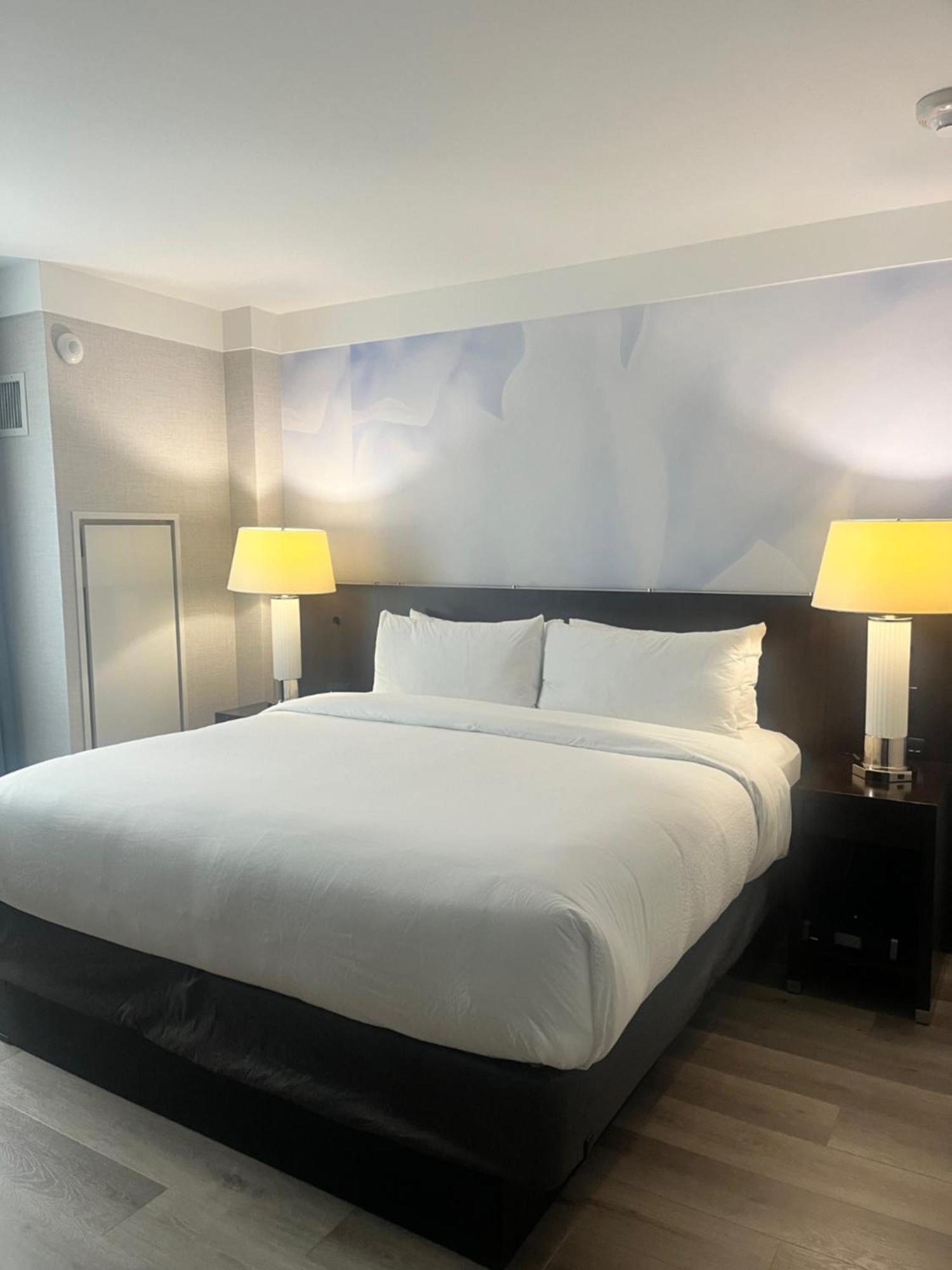 Guest Room 1 King,1696630248:JPEG