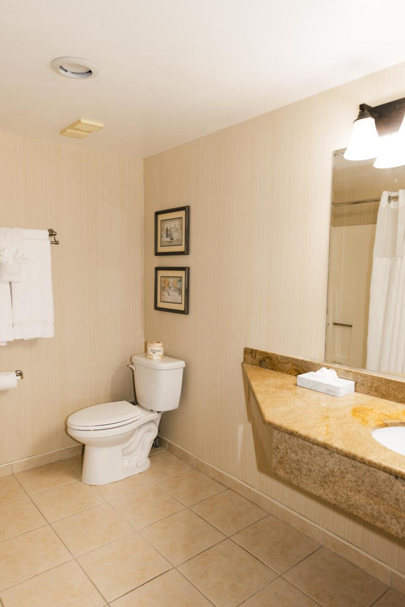 Executive Tower, 1 King Bed