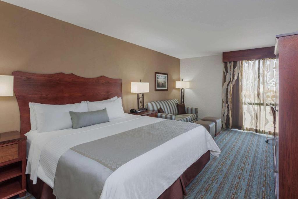 Deluxe One-Bedroom King Suite Non-Smoking,1275541141:JPEG