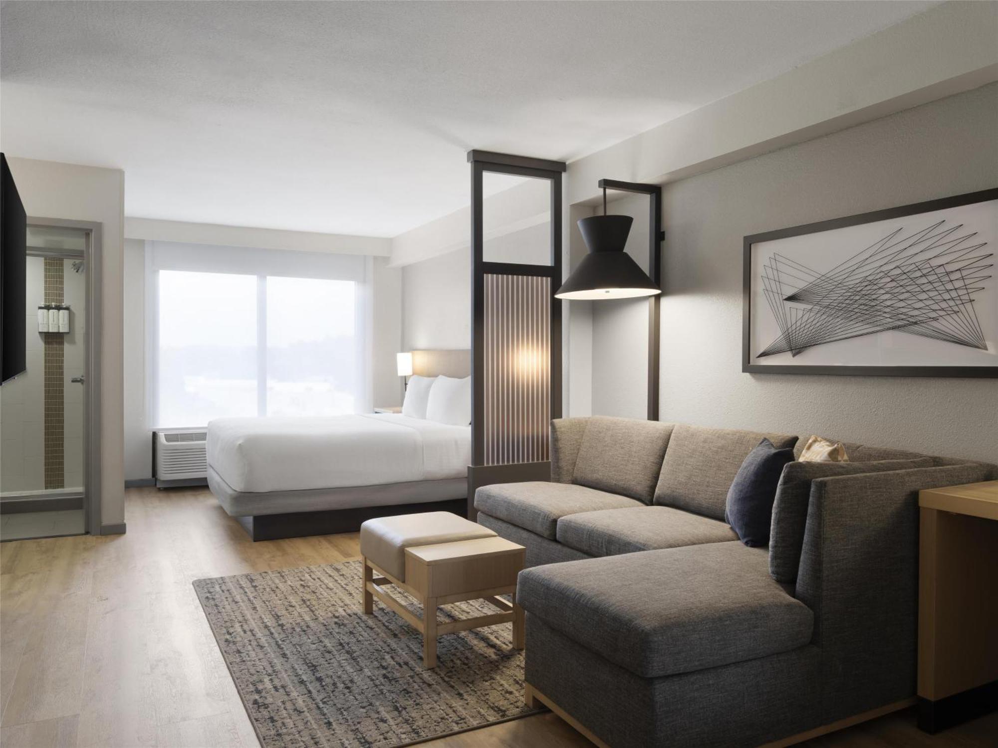 King Room Sofa Bed