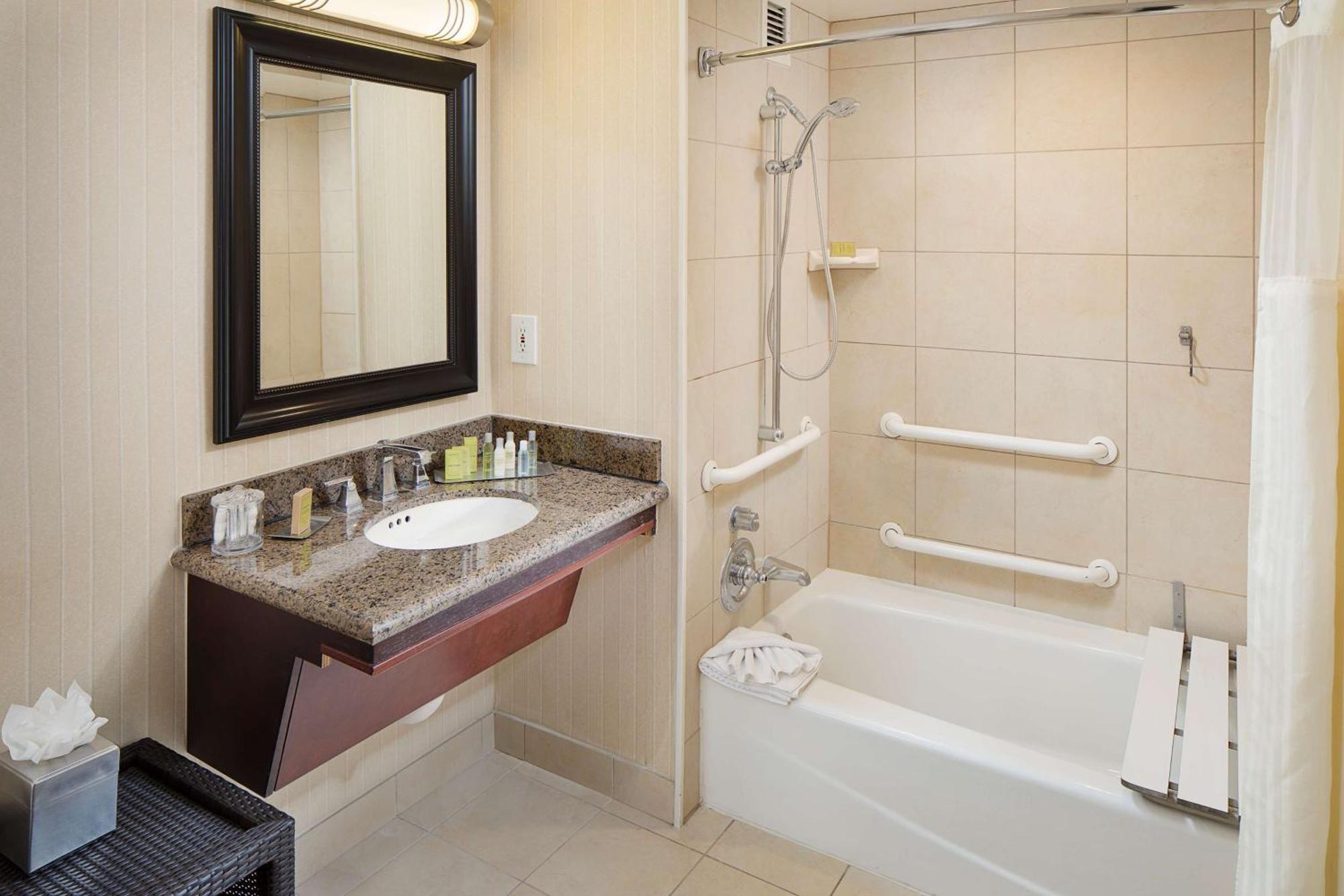 King Room Mobility Accessible Tub,1551976111:JPEG