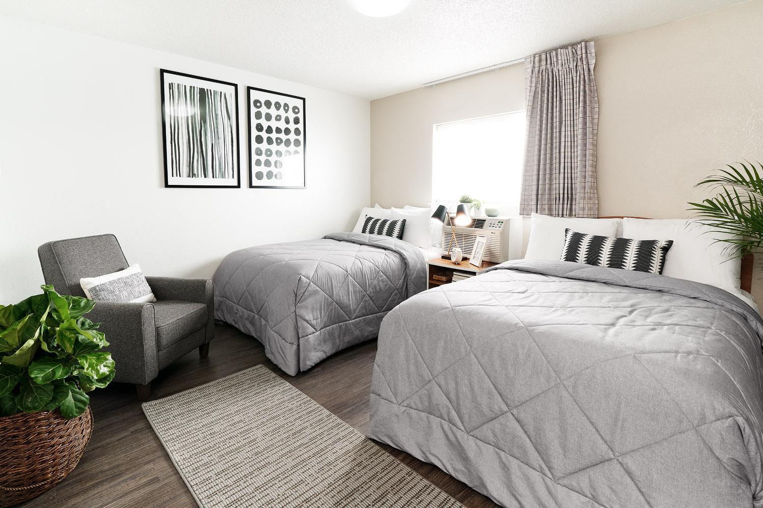 Premium Fully Renovated 2 Full Bed Studio w or Kitchen