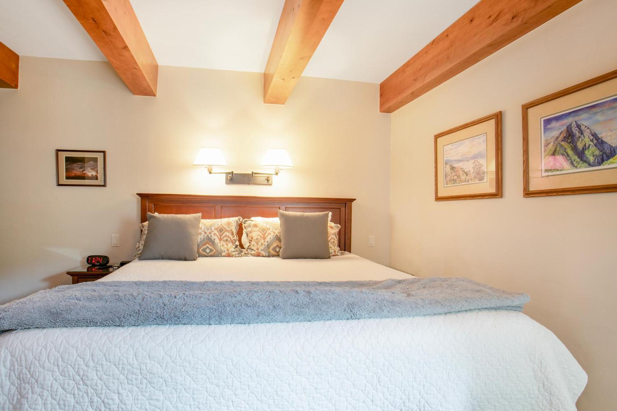 Deluxe One-Bedroom Apartment
