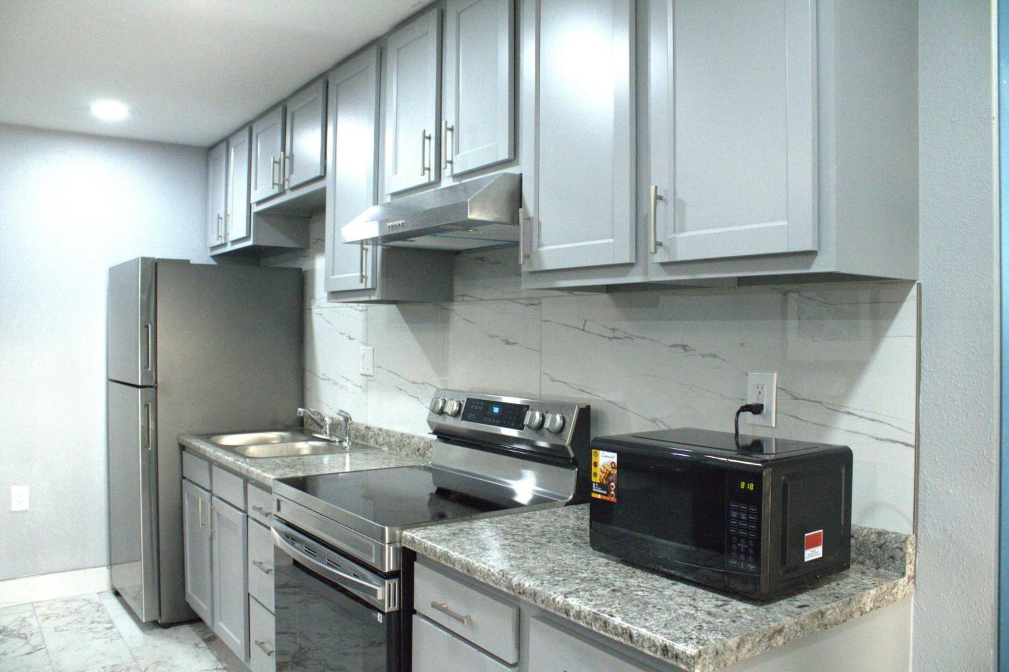Deluxe One-Bedroom Apartment