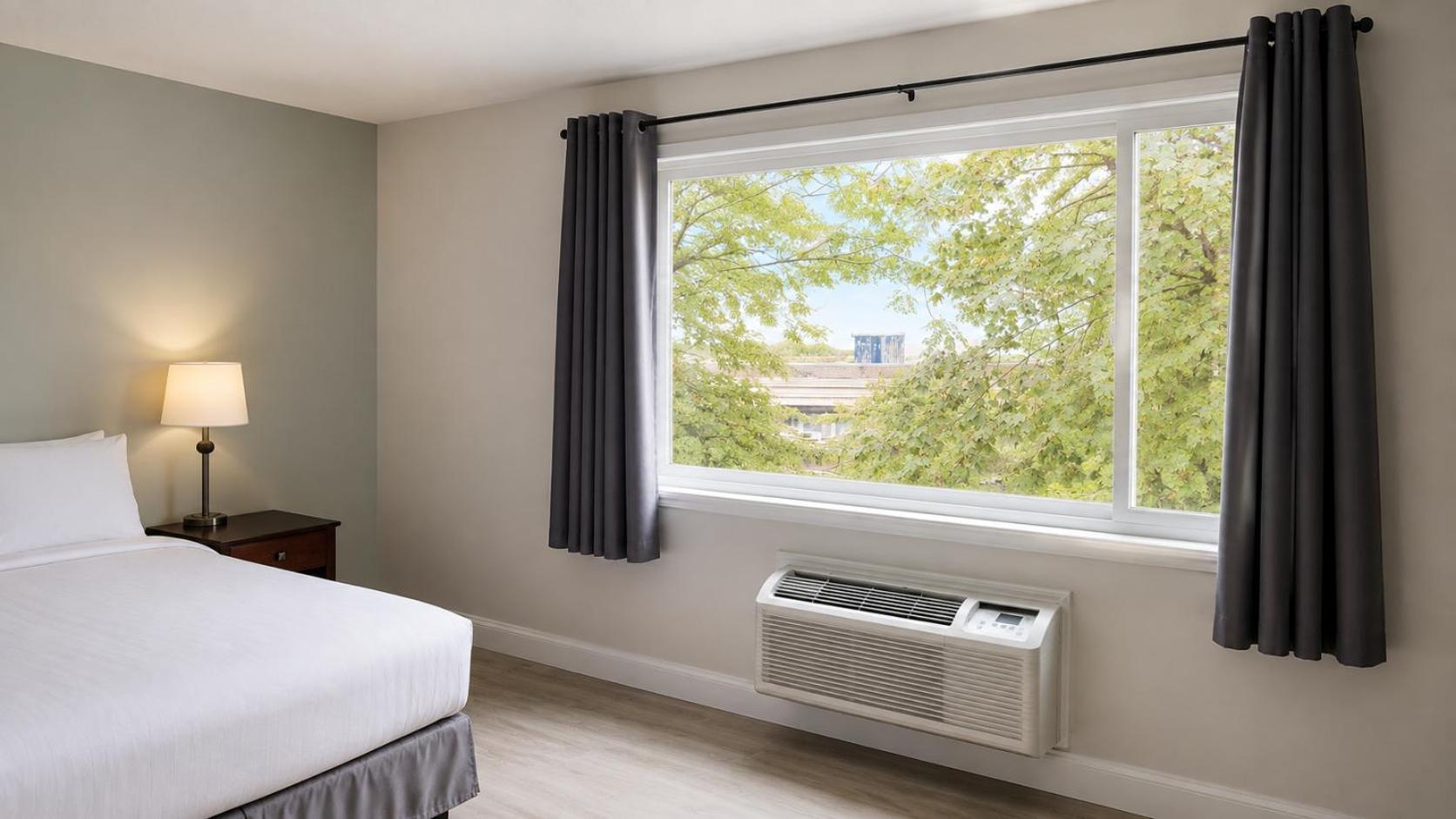 Estudio con cama extragrande
