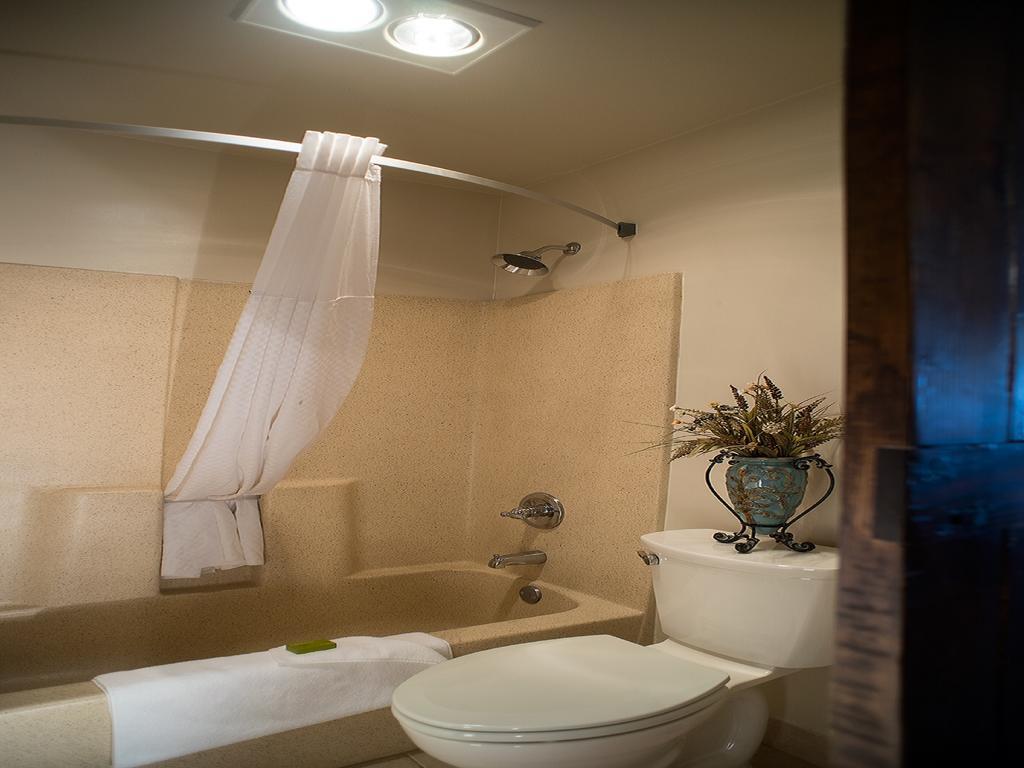 Double Room with Two Double Beds