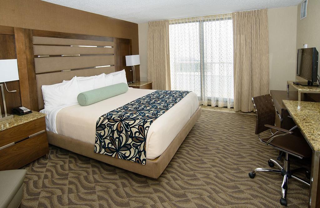 One-Bedroom Suite,824499752:JPEG