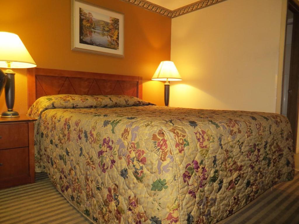 Standard Double Room,54053797:JPEG