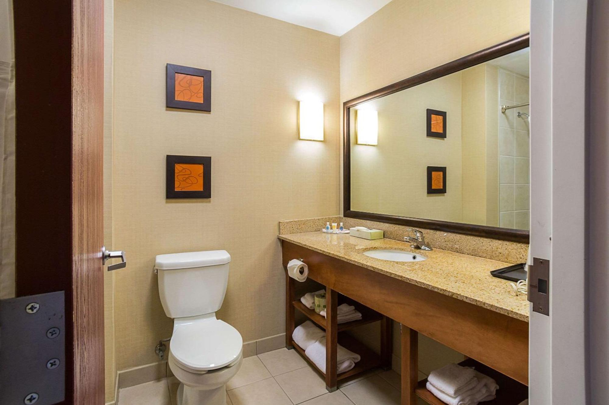 King Suite with Sofa Bed- Non-Smoking