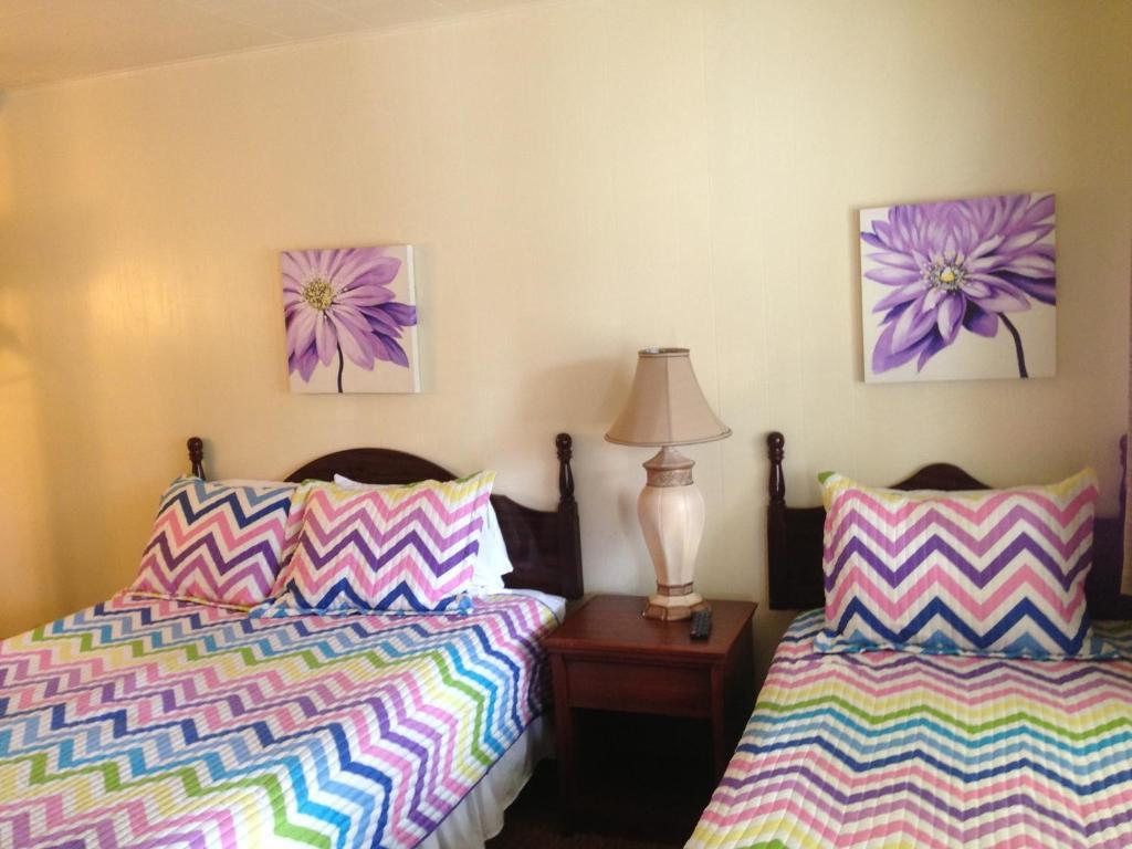 Queen and Twin Room