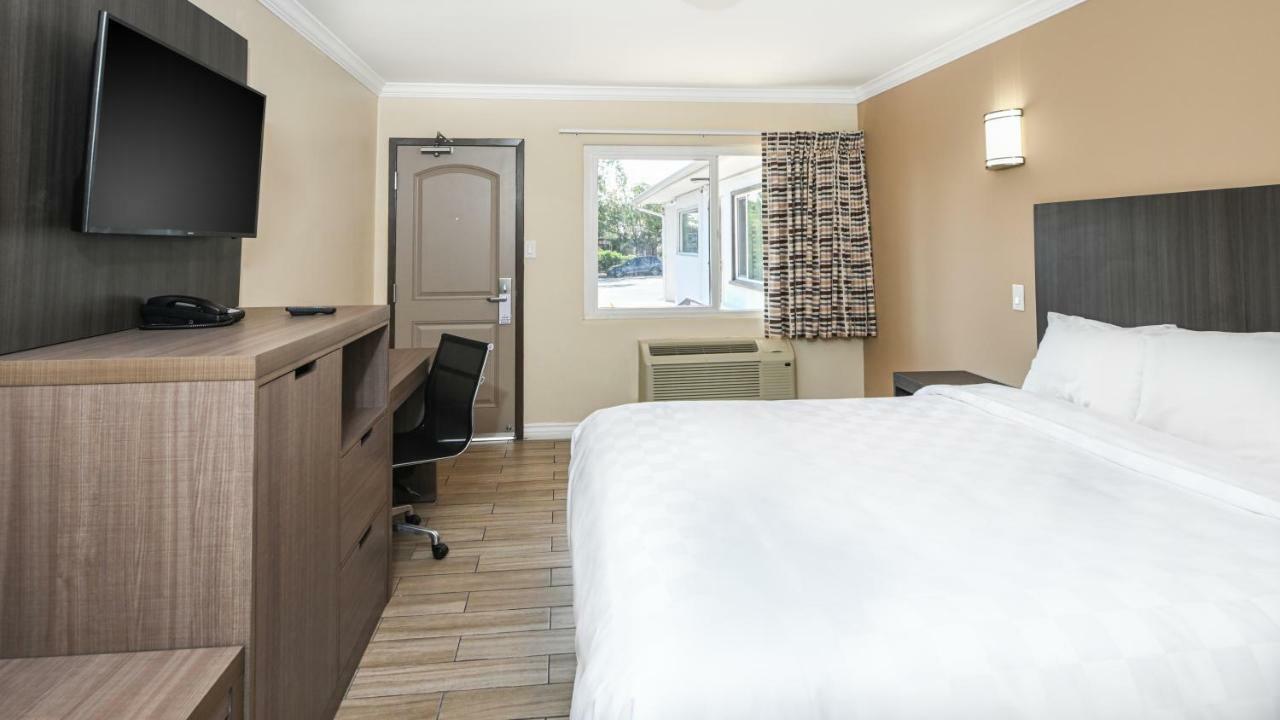 King Room,805151307:JPEG