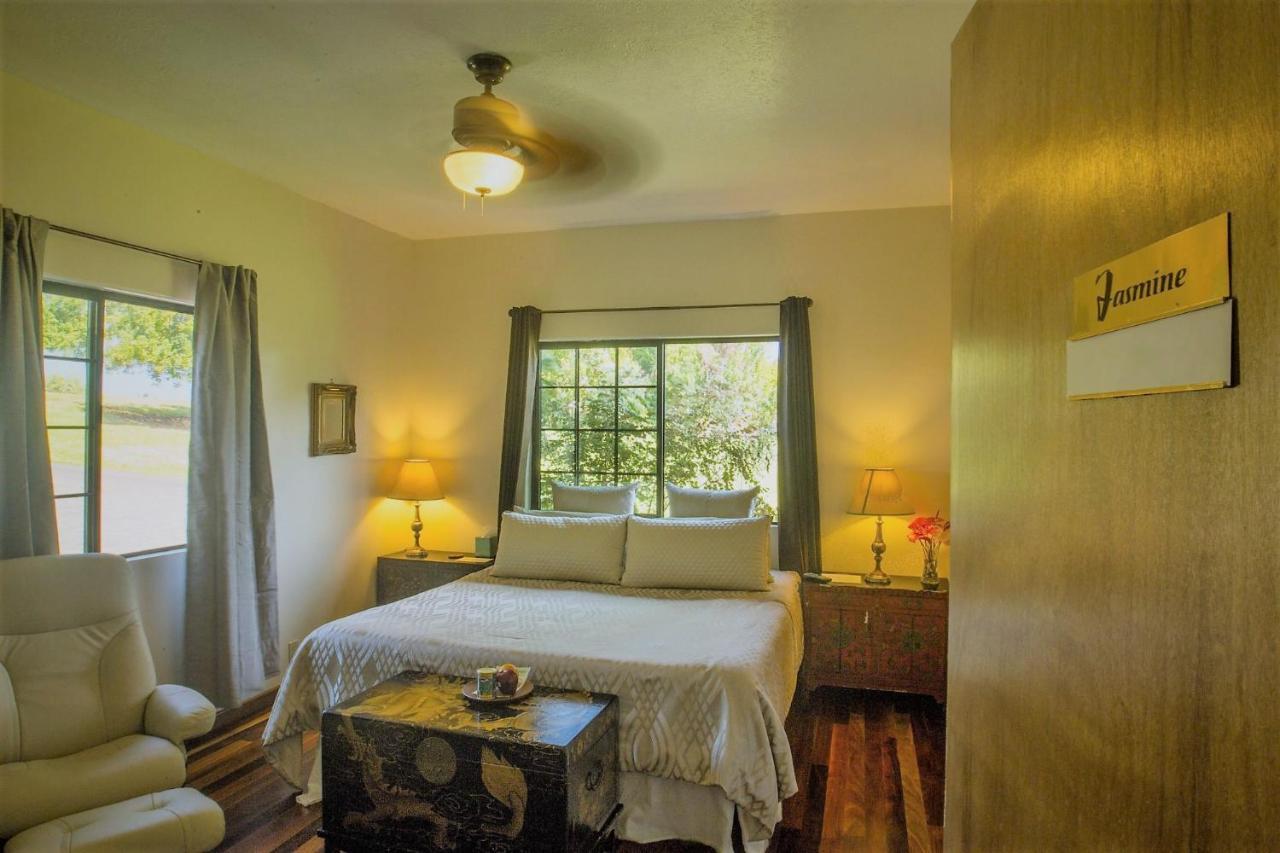 King Room Garden View
