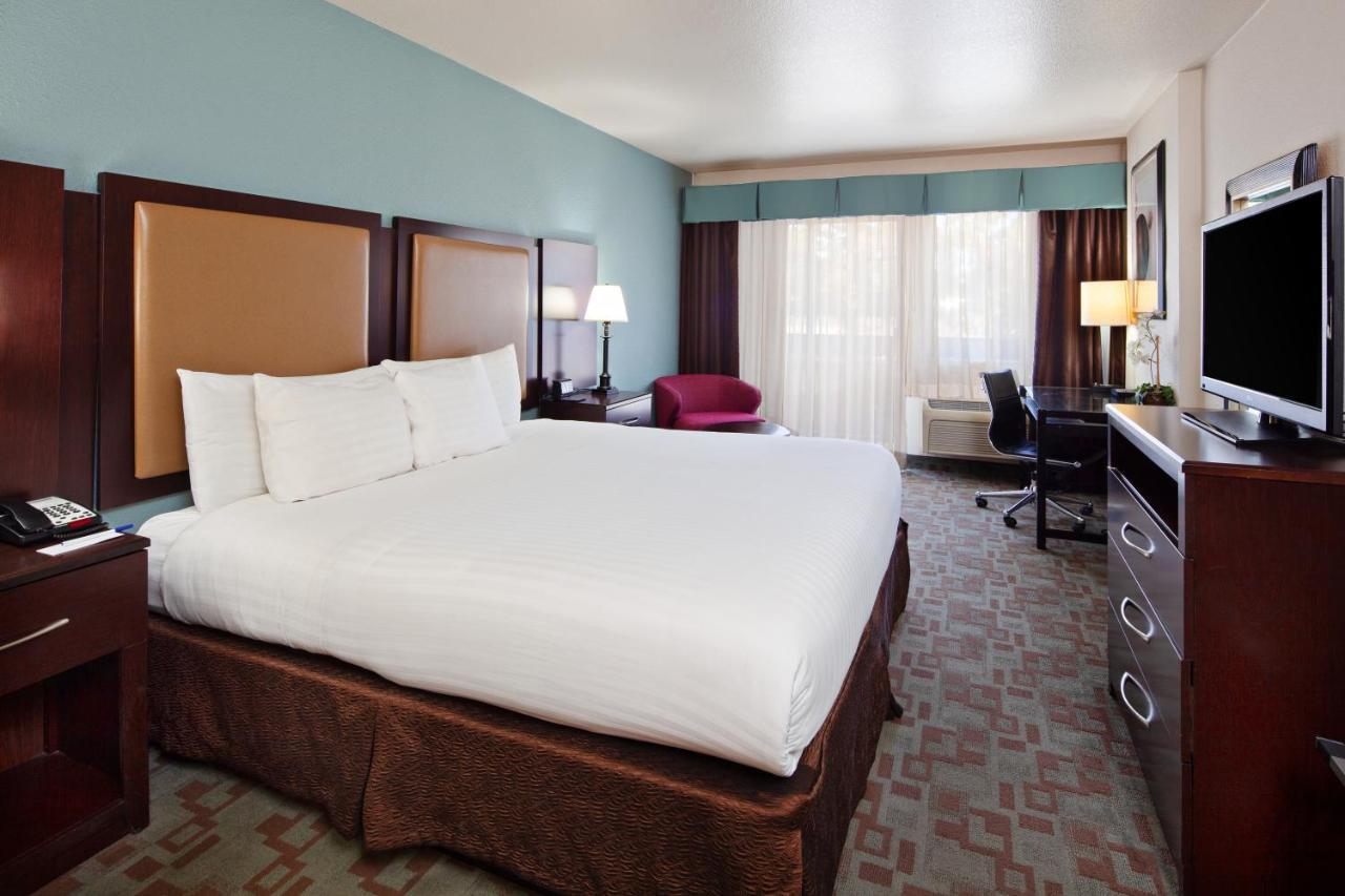Superior King Room,925517296:JPEG