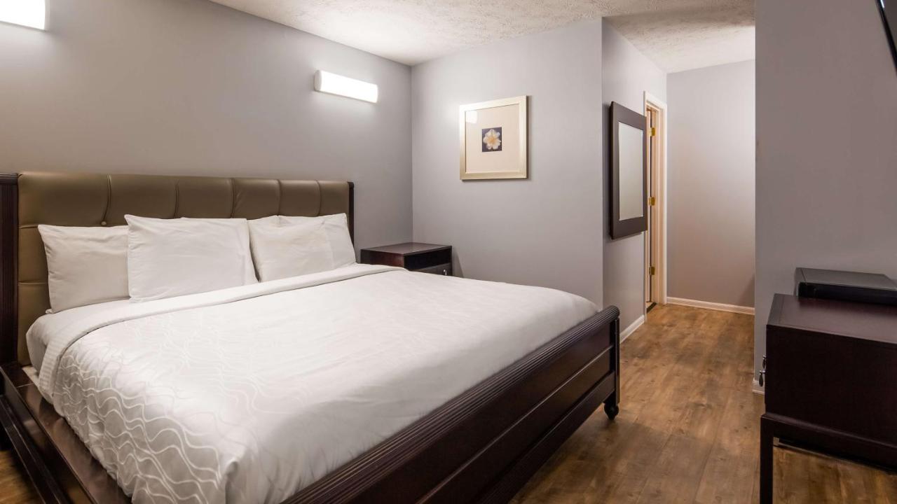 King Room,957267760:JPEG