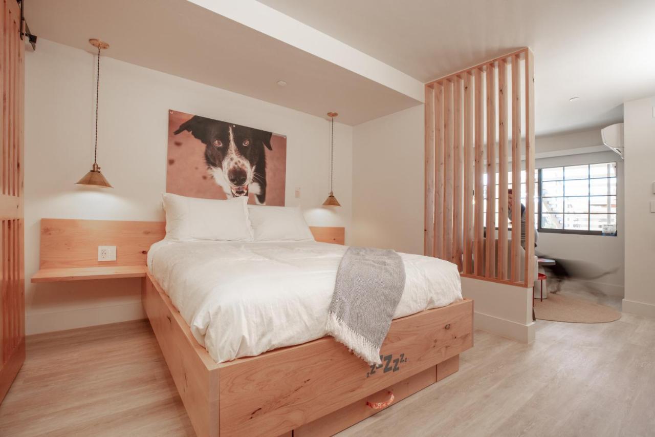Standard Double Room,964988086:JPEG