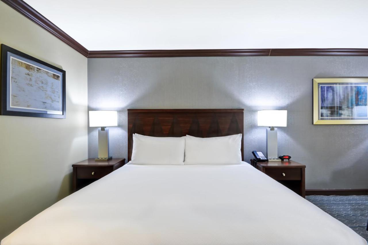 King Room with Sofa Bed
