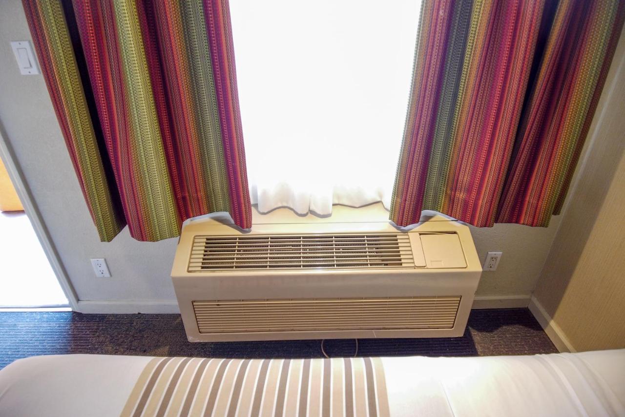 Camera Queen