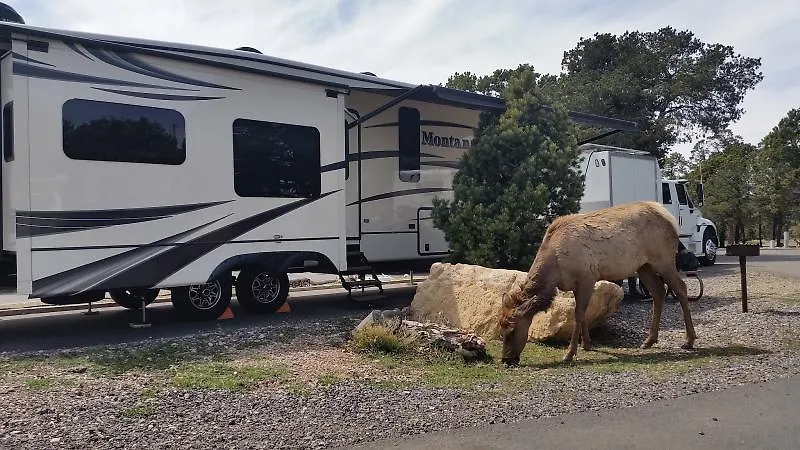 Trailer Village Rv Park-1