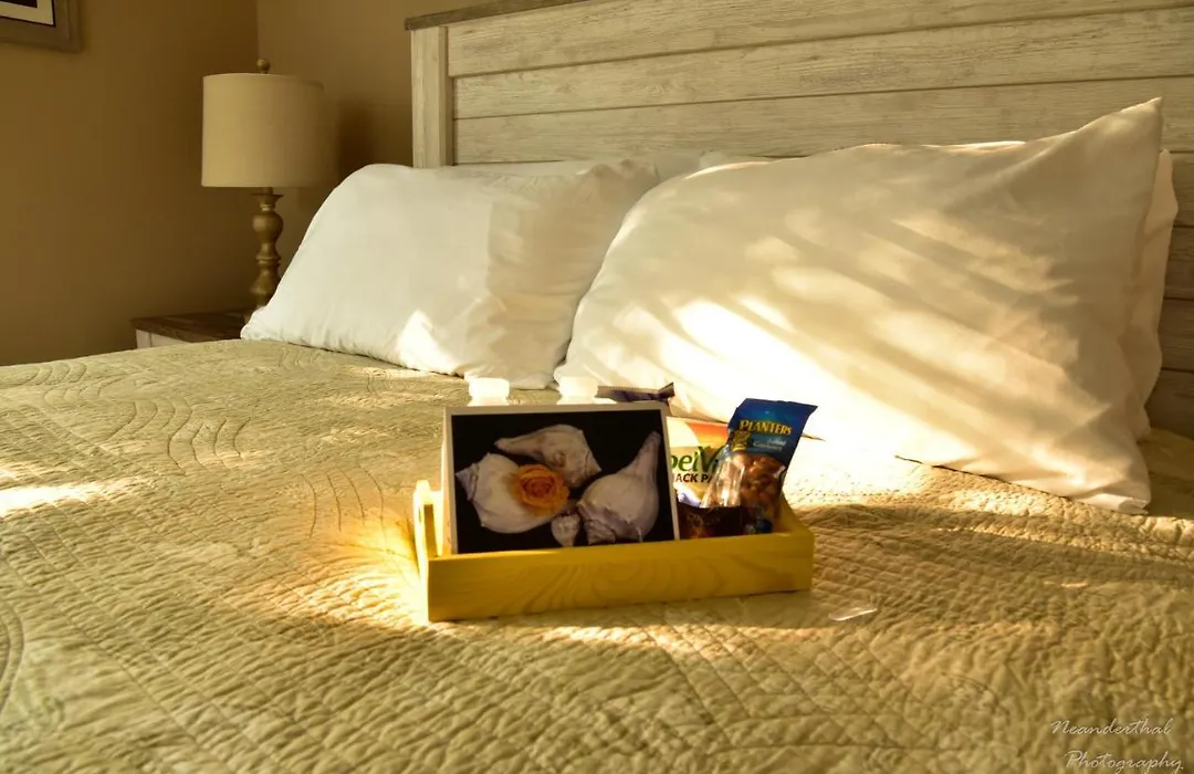 The Yellow Rose Of Talbot Bed And Breakfast-1