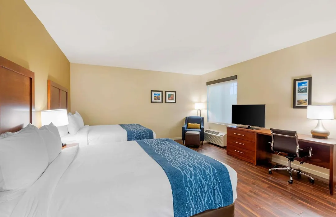 Comfort Inn & Suites Near Ontario Airport-1