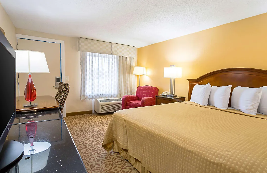Rodeway Inn Metro Airport-1