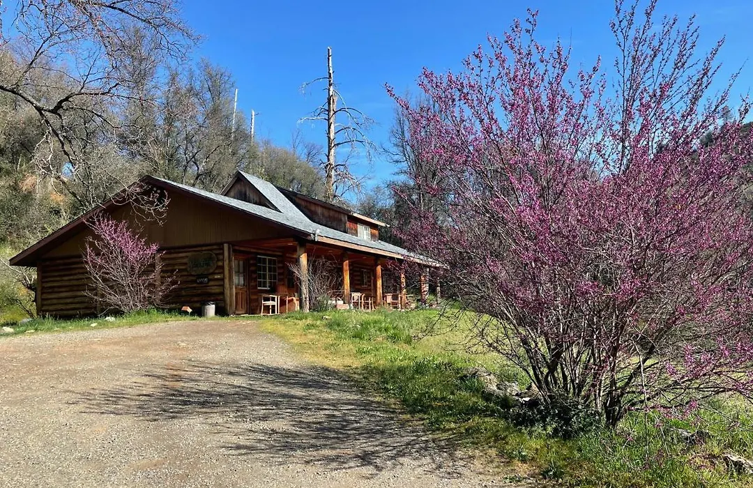 Bear Creek Cabins-1