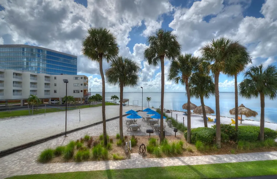 227-Wifi, New Paint, Amazing Views, Close To Bucs Stadium-1