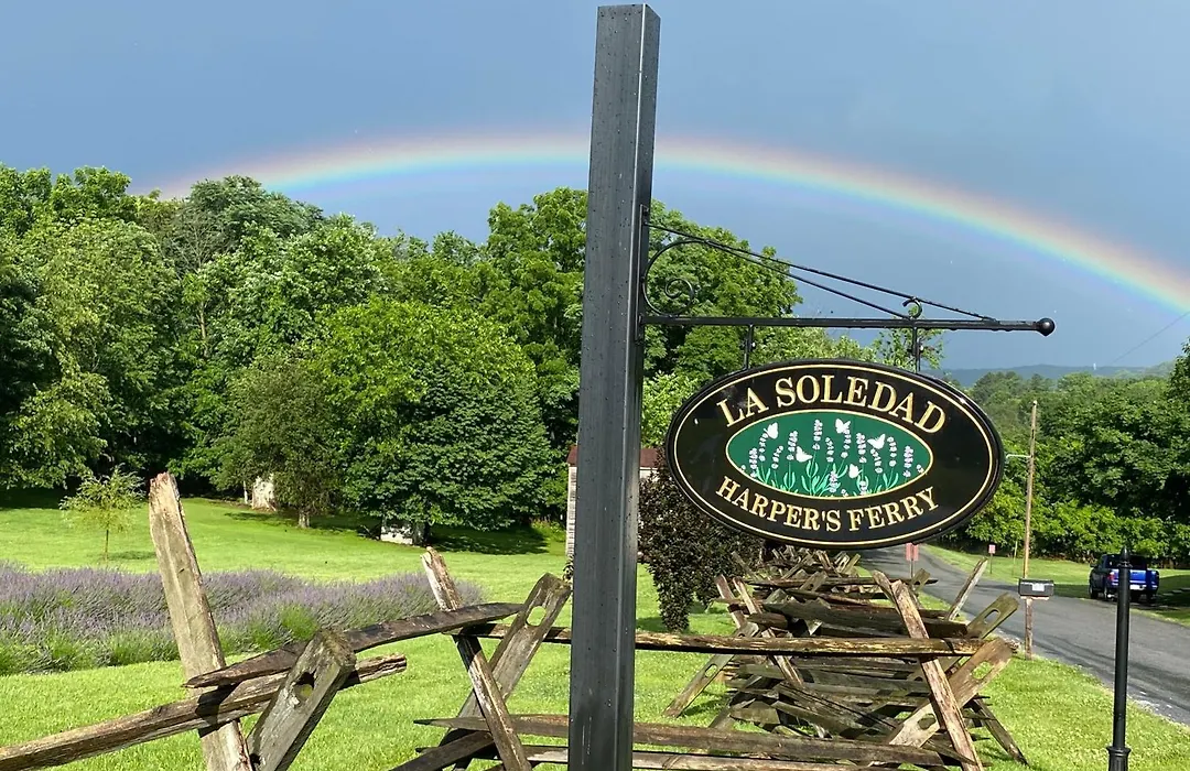 La Soledad Lavender Farm And Guesthouse-1