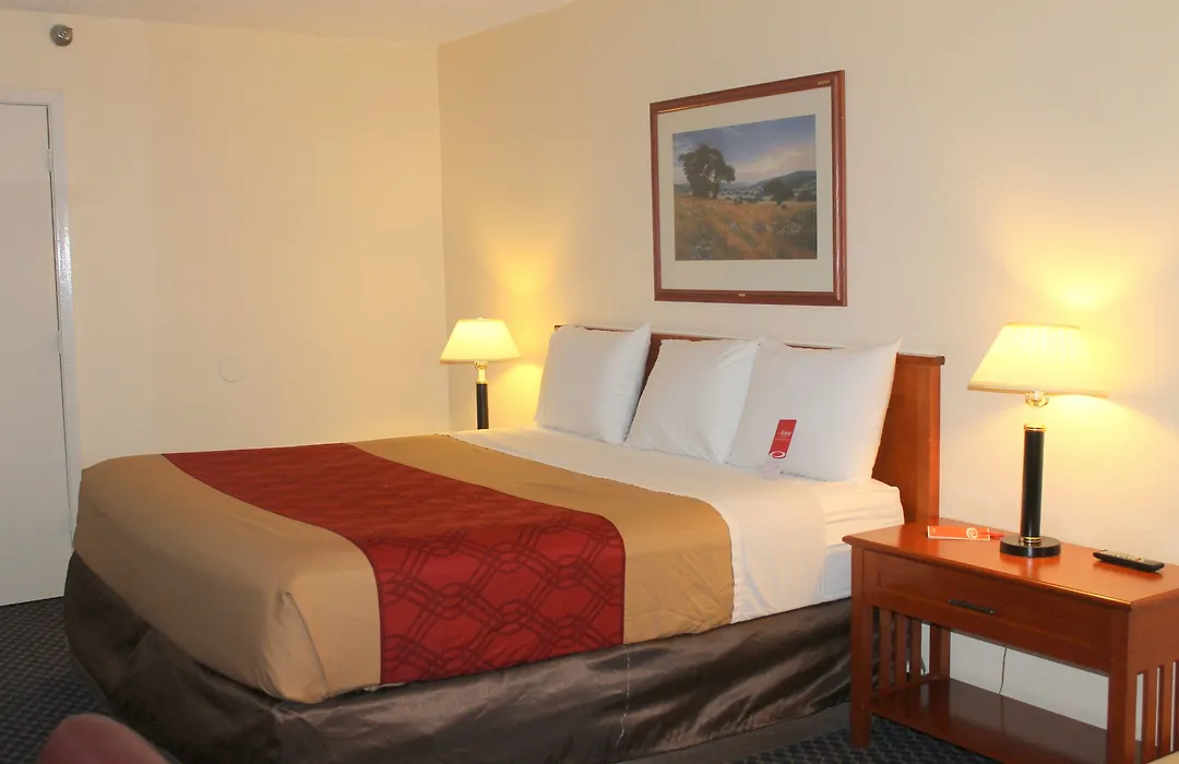Knights Inn College Station-1